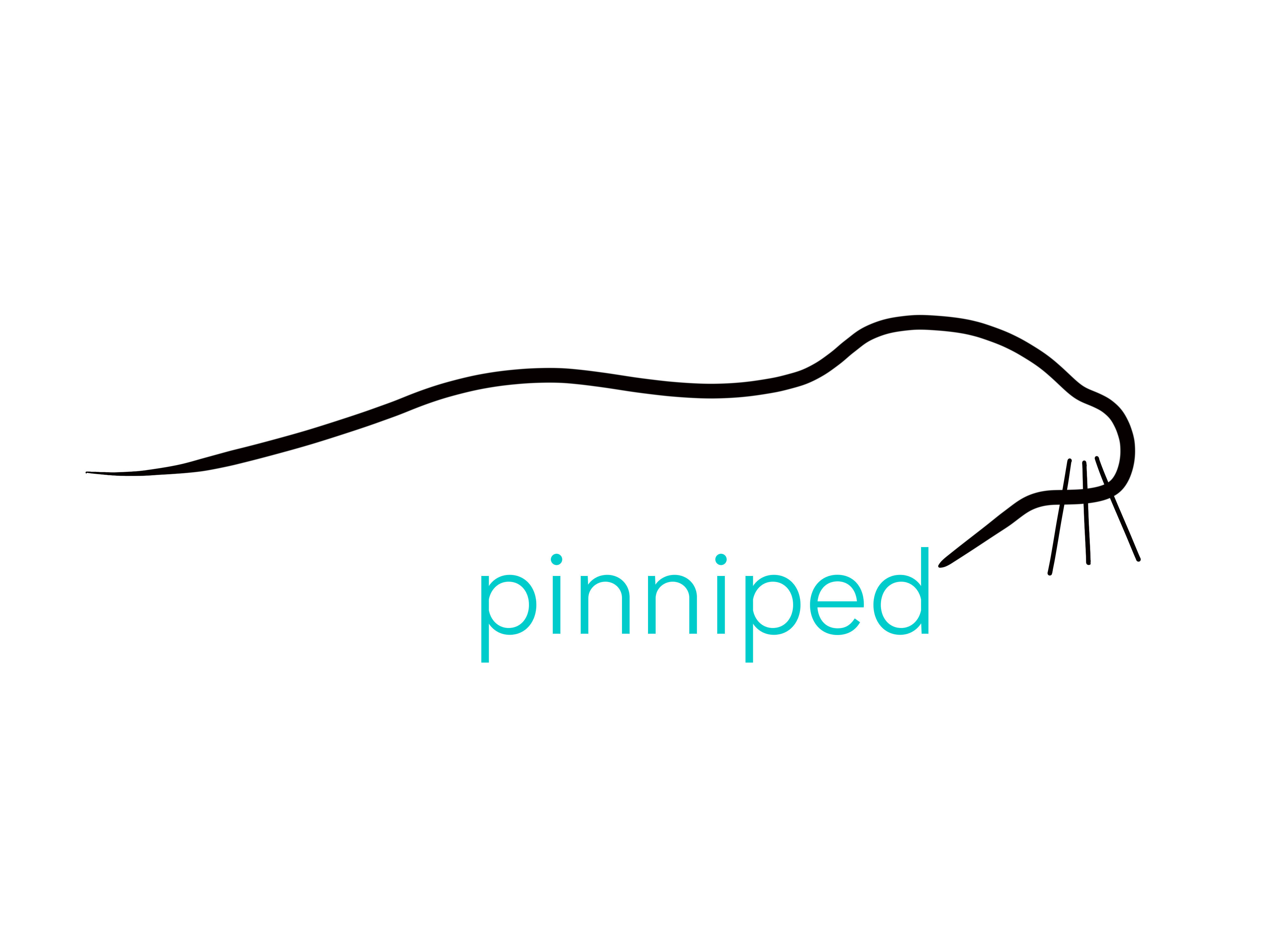 Pinniped